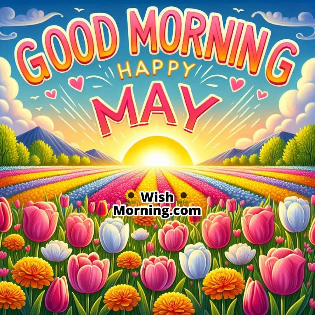 Energetic flower field and sunrise greeting the new day and new month.