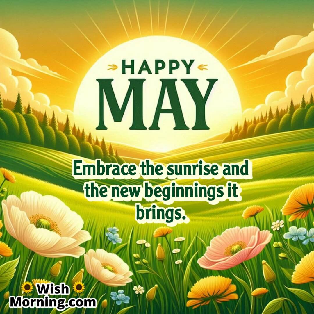 A golden sunrise lighting up green May fields and wildflowers, representing hope and fresh starts.