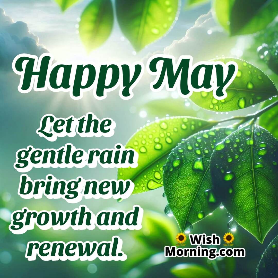 Gentle May rain on fresh green leaves, symbolizing renewal, peace, and natural growth.