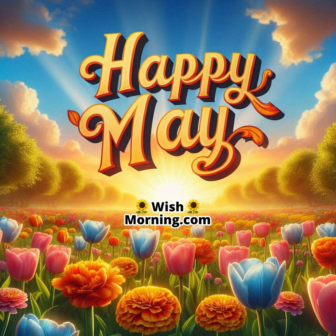 Happy May Sunshine Flower Image