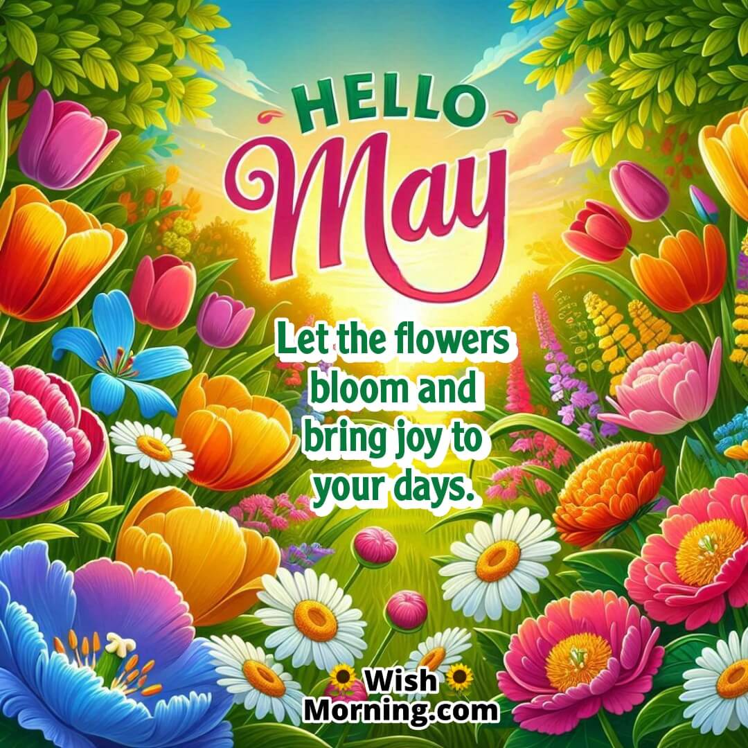 Hello May Blooming Flowers Wish Image