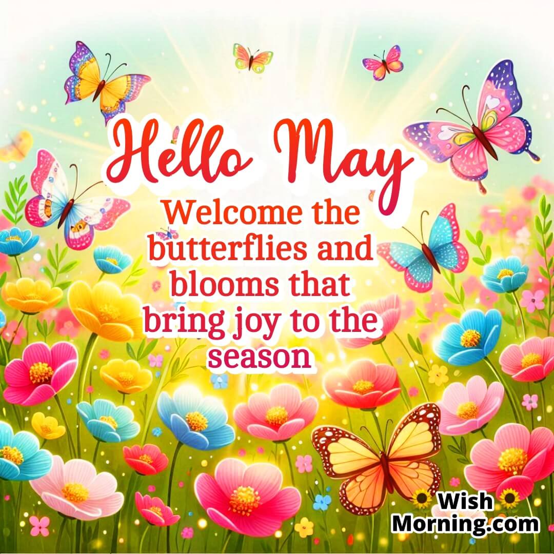 Hello May Butterflies And Blooming Flowers Wish