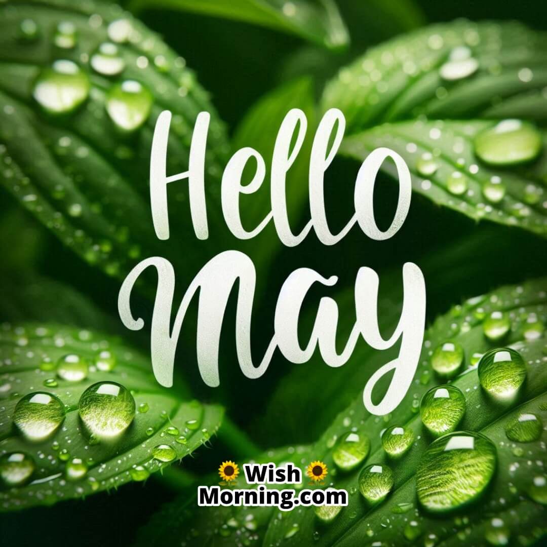 Refreshing raindrops on green leaves symbolizing May’s nurturing touch and renewal.