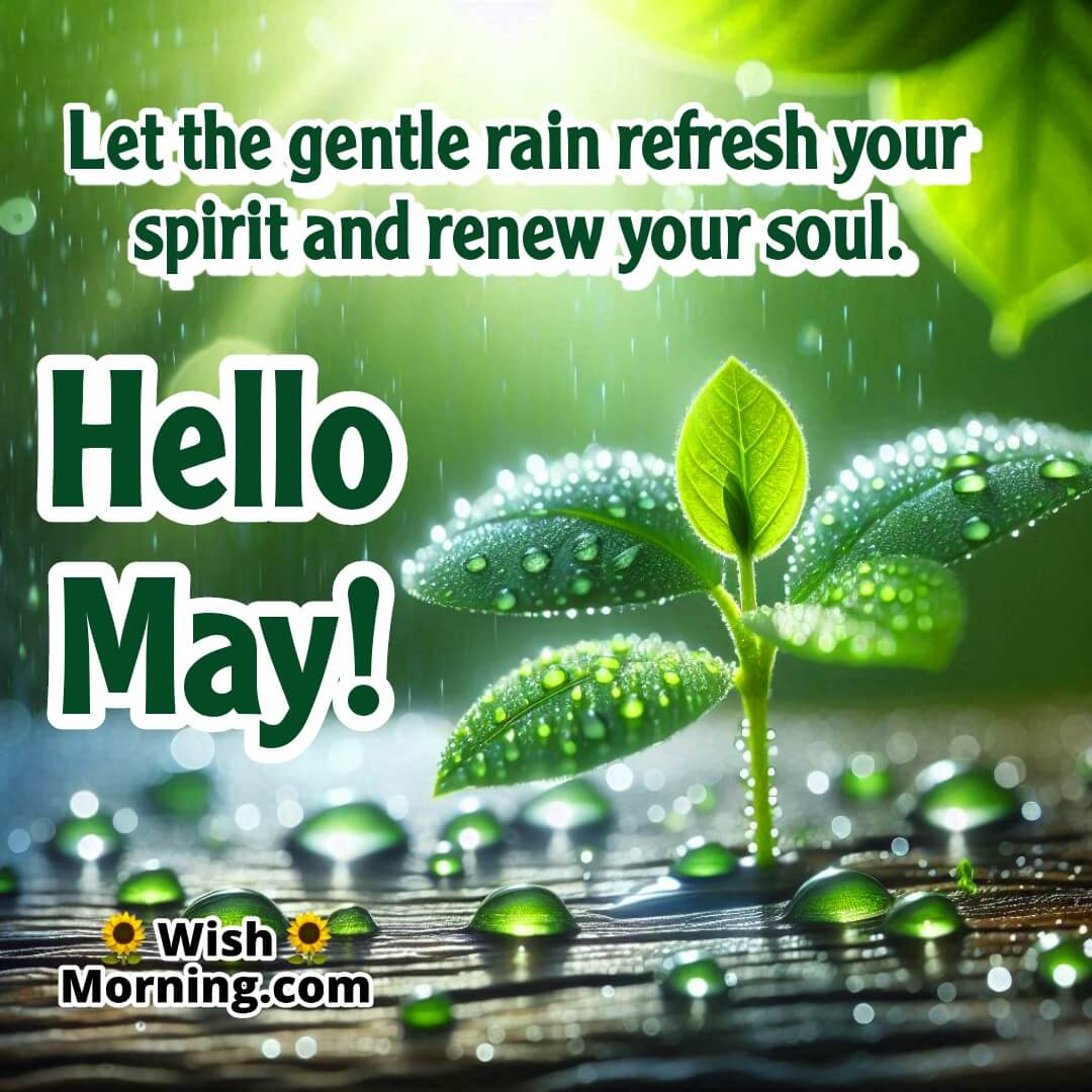 Hello May Refreshing Wish Picture