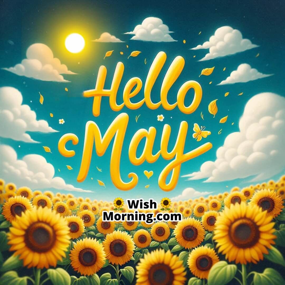 Sunny sunflower field with cheerful Hello May message in the sky.