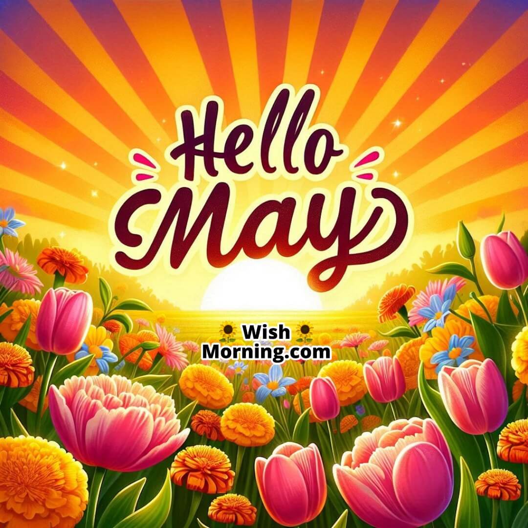 Cheerful sun and flower burst announcing the joyful arrival of May.