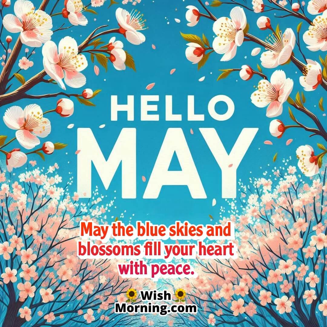 Hello May Wishes