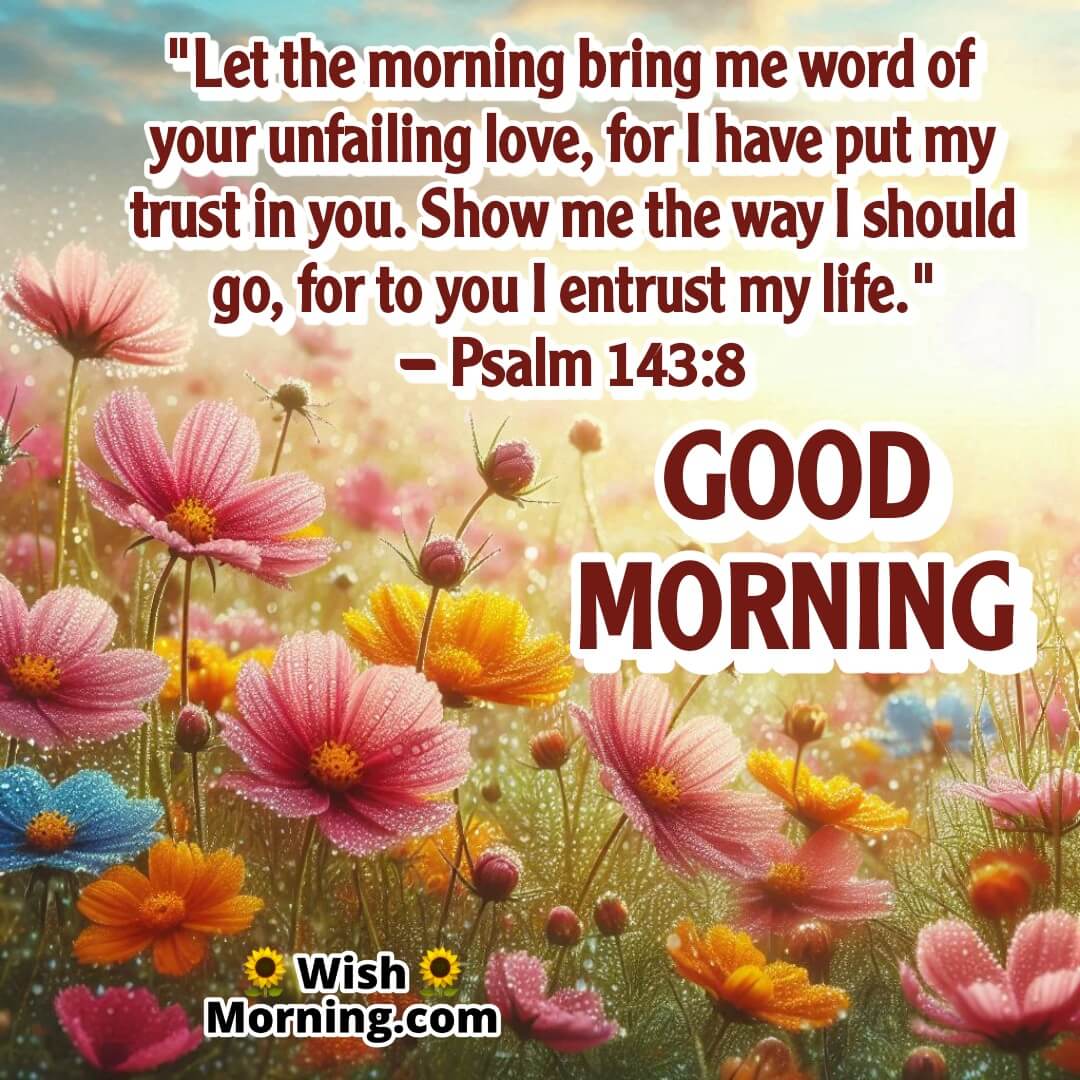Trust God's Love Each Morning