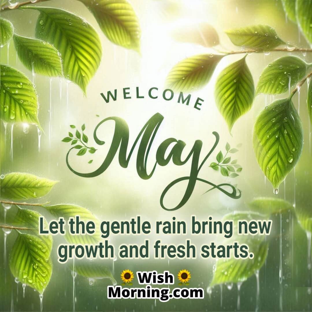Welcome May featuring gentle raindrops on green leaves, symbolizing growth, renewal, and the freshness of the season.