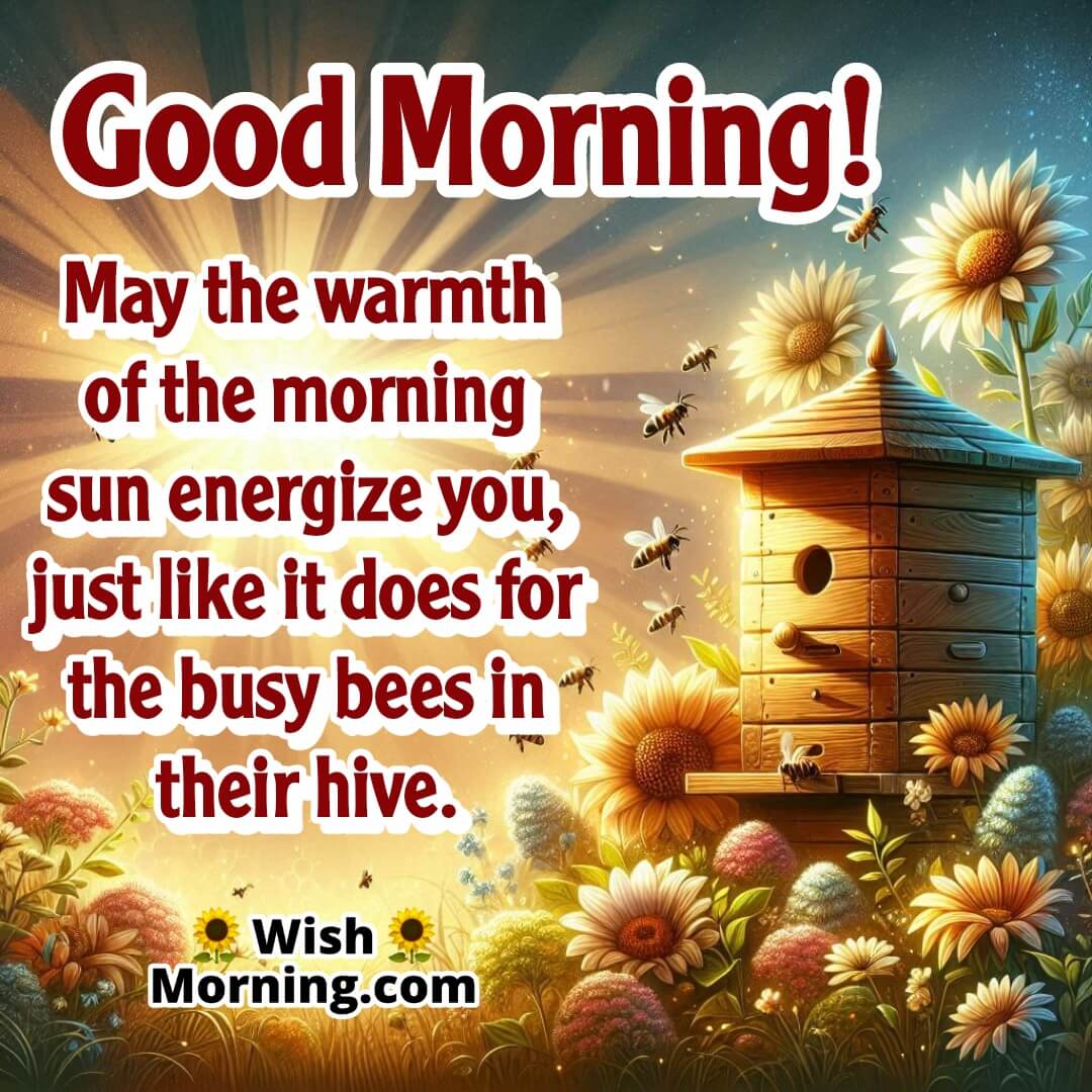 Beehive glowing in sunrise with blooming flowers and bees in motion, symbolizing energy and warmth.