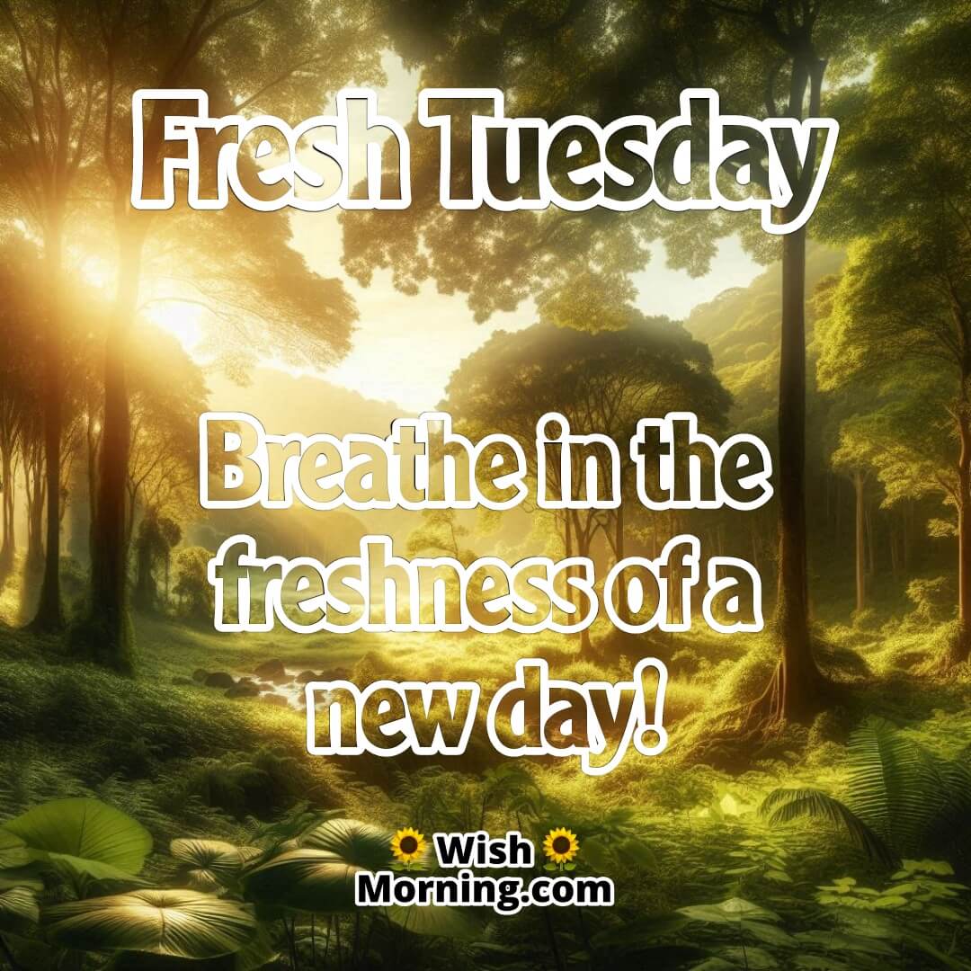 Tuesday Good Morning Coffee Motivation