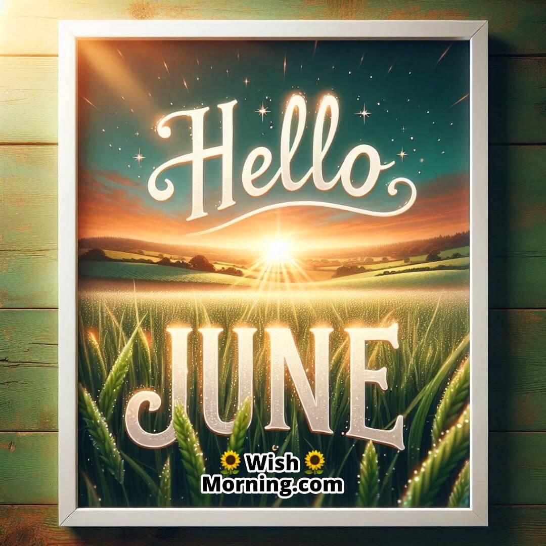 Hello June welcomes the new month with fresh morning dew and peaceful sunlight.