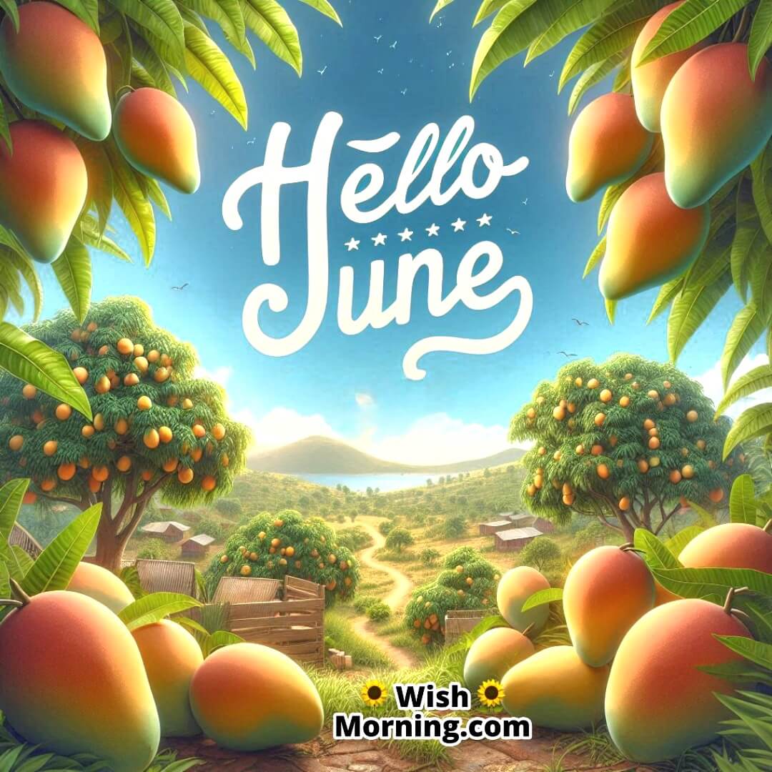 Hello June captured with the beauty of ripe mangoes hanging from sunlit trees.