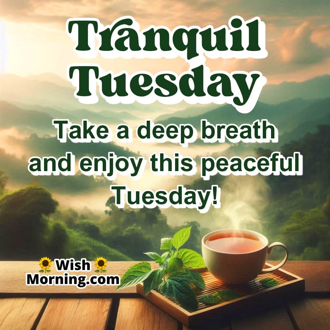 A warm tea cup on a balcony, symbolizing serenity and peace for Tuesday.