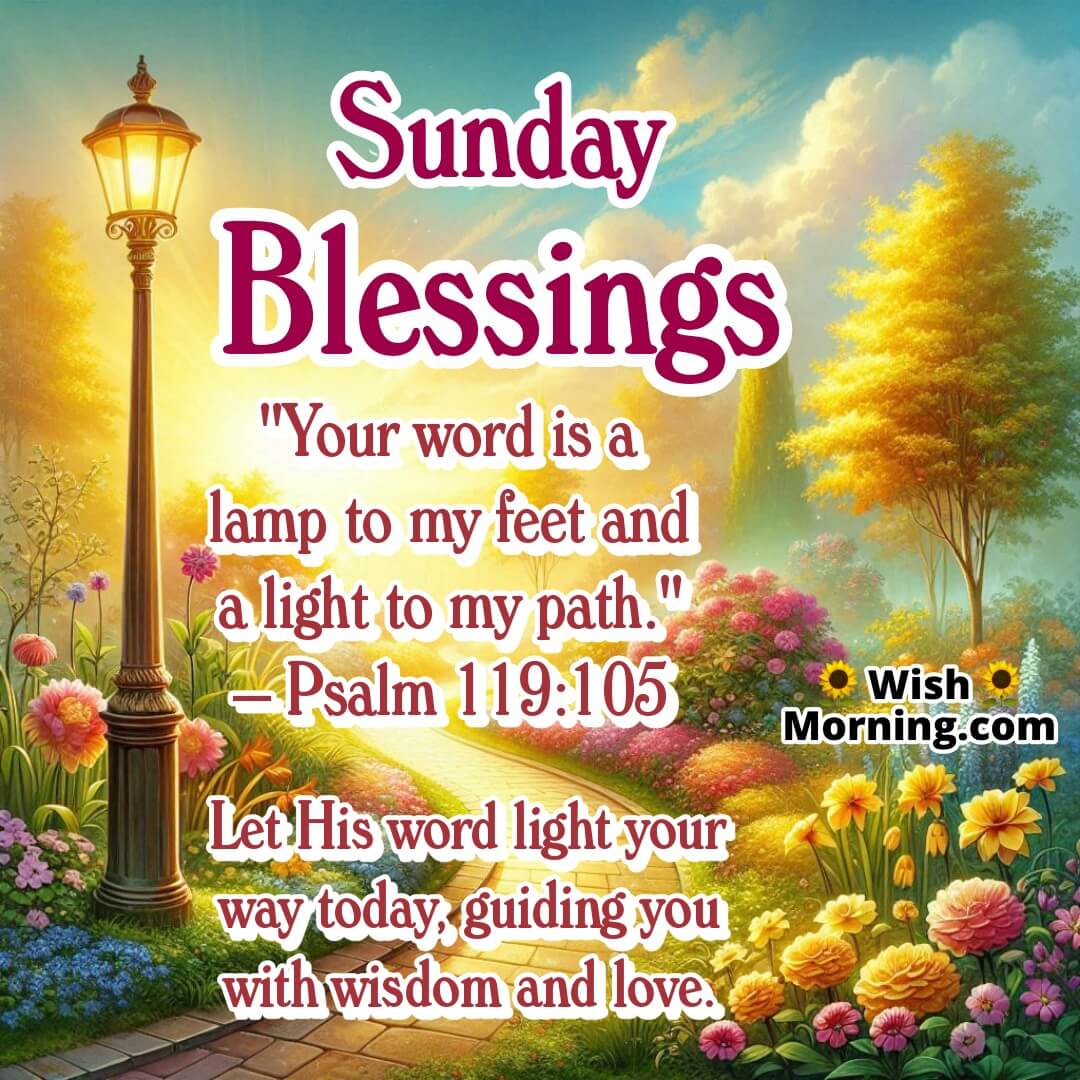 Sunday Blessings image featuring forest path with soft lantern light, symbolizing God’s word and direction.