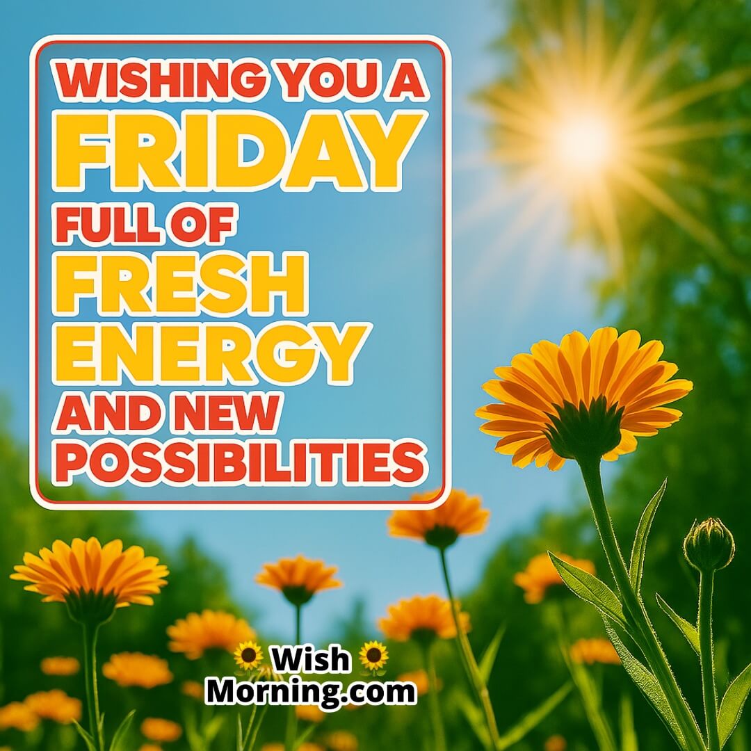 Friday greeting image featuring blooming flowers and sun rays, symbolising energy, hope, and joyful possibilities.