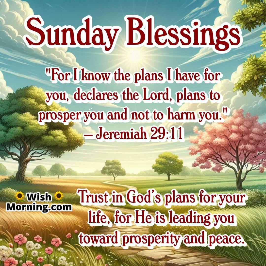Sunday Blessings image featuring a peaceful garden trail, symbolizing divine guidance and hopeful plans.