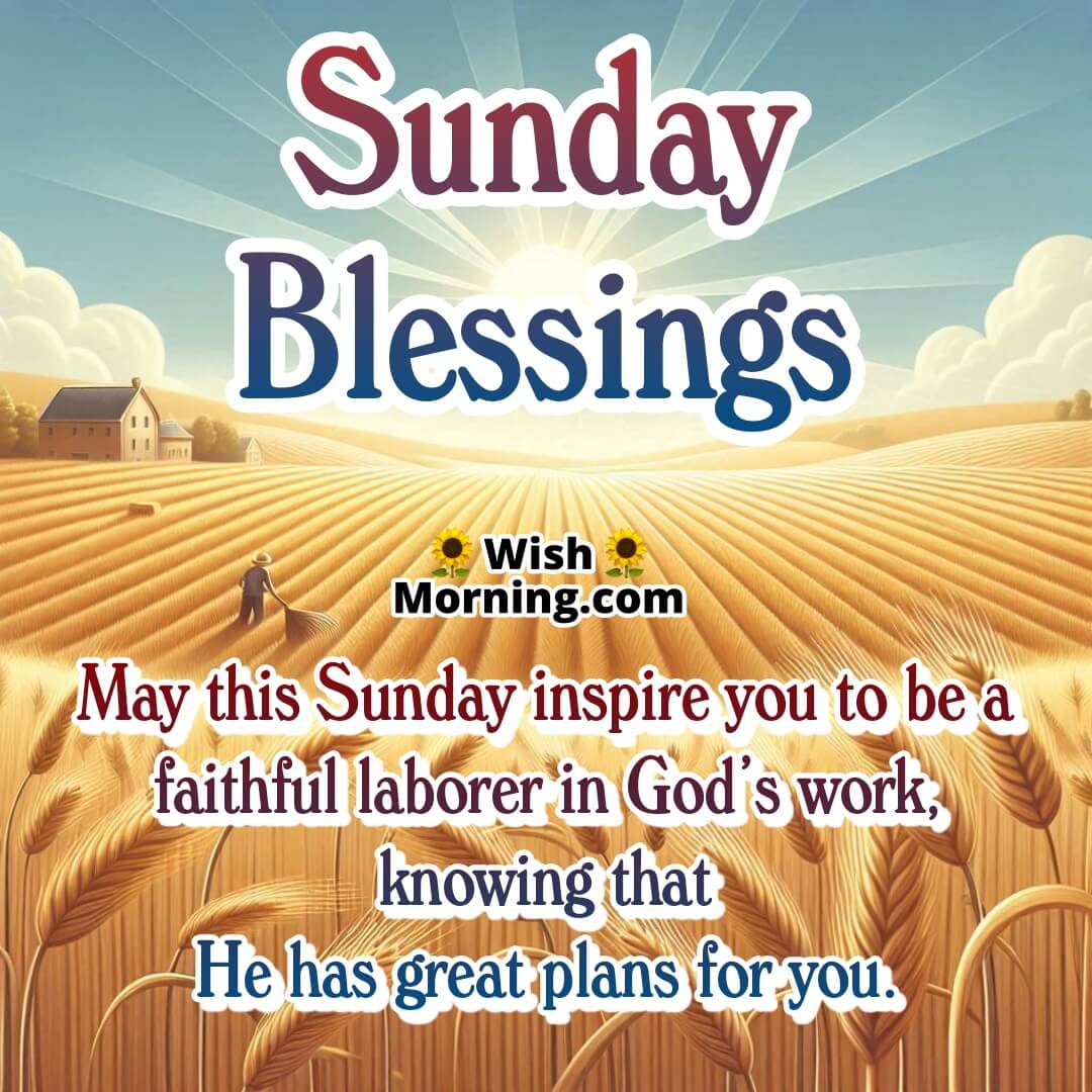 Sunday Blessings image featuring countryside harvest field and laborers, symbolizing God's call to purpose.