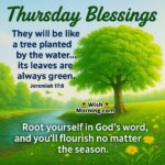 Thursday Blessings – A flourishing riverside tree mirrors a soul nourished by God’s flowing wisdom.