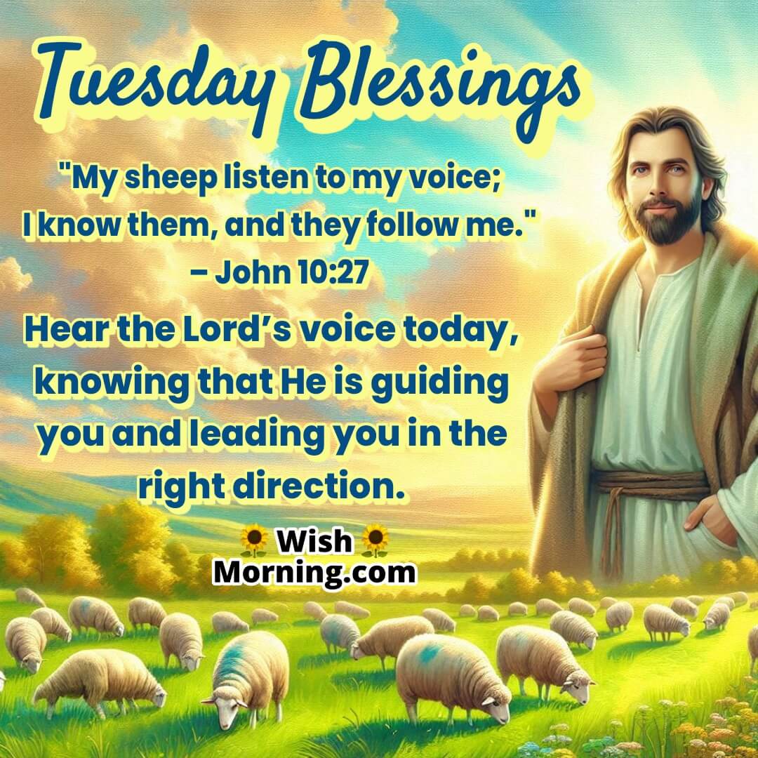Tuesday Blessing with grazing sheep and shepherd, symbolizing God's voice and direction – John 10:27.