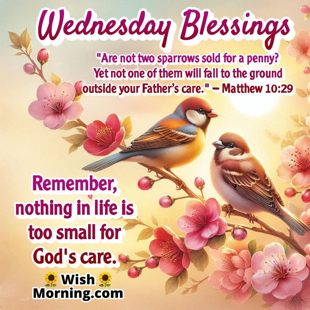 Wednesday Blessing image showing sparrows in morning light, symbolizing God's caring watchfulness – Matthew 10:29.