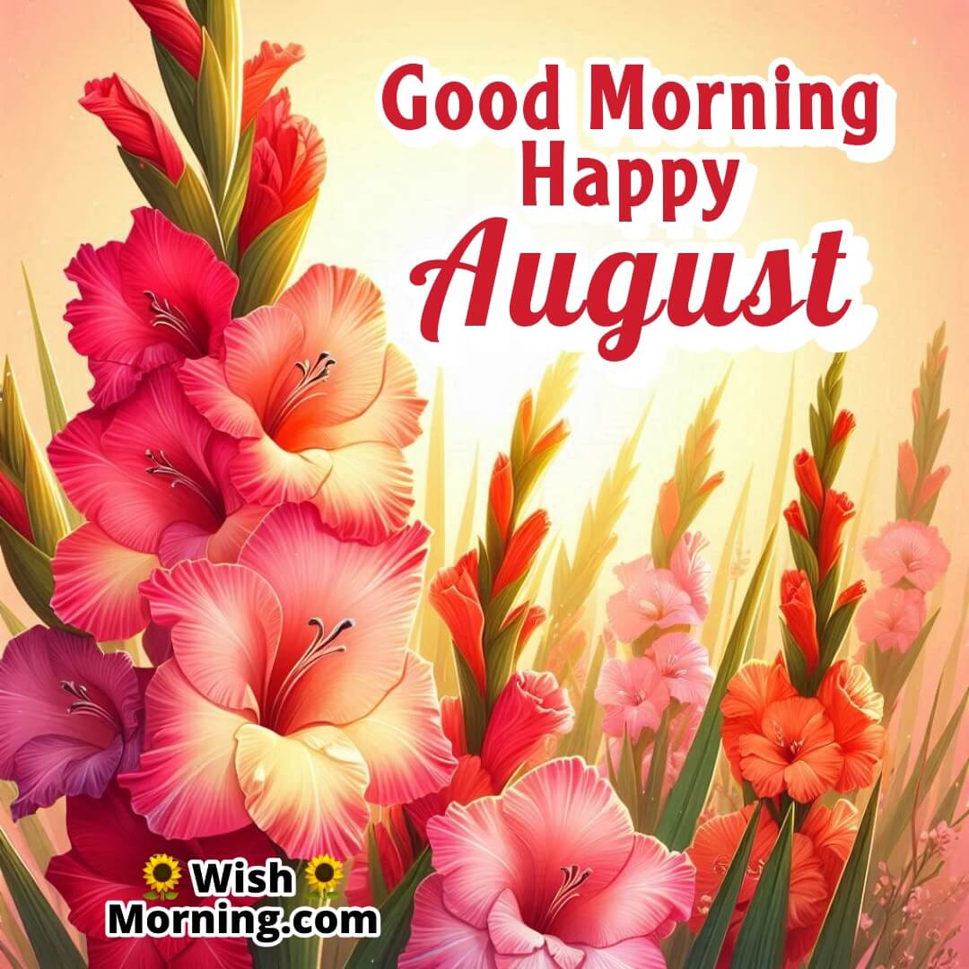 Good Morning Happy August Gladiolus In Full Bloom