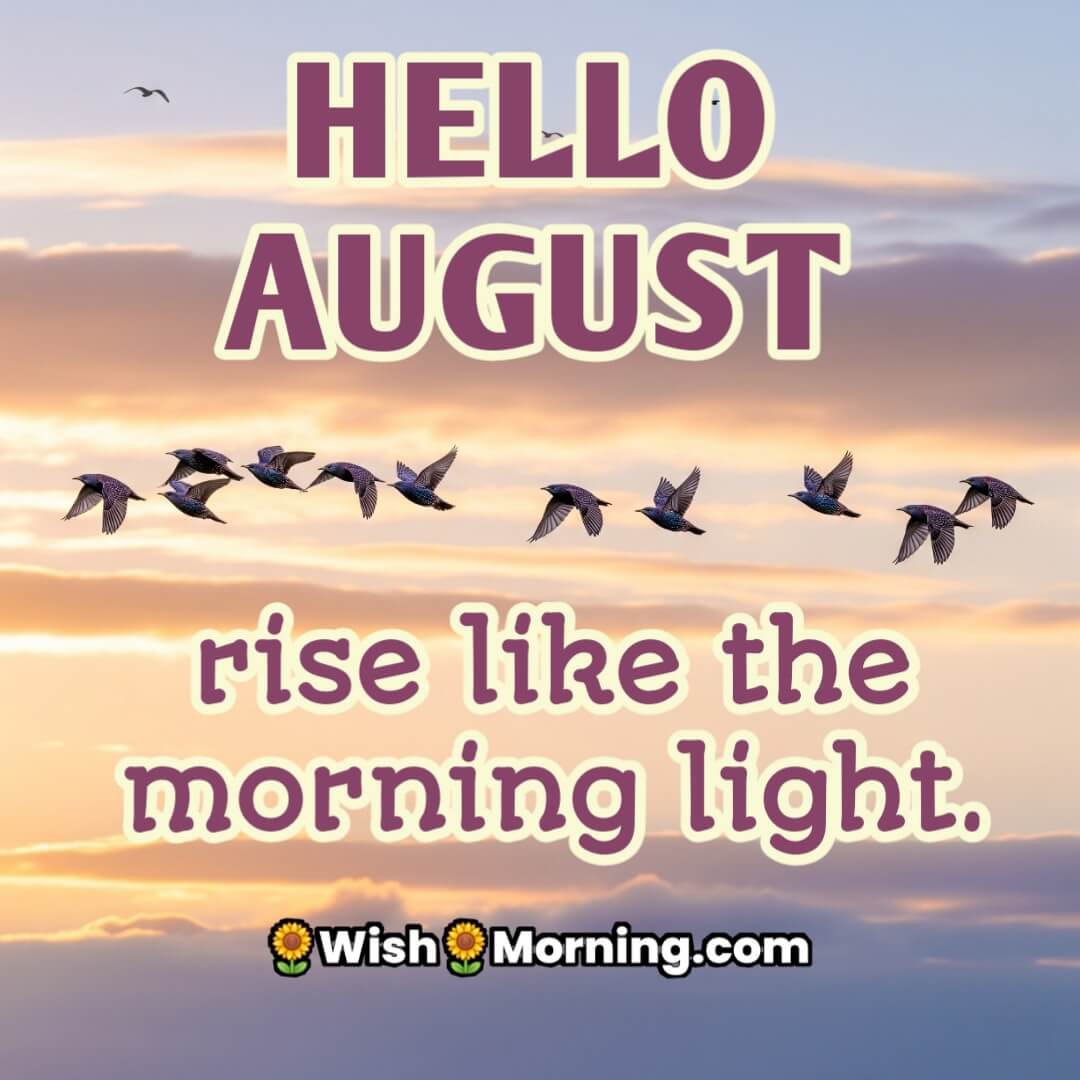 Hello August Morning Sky Birds Pic