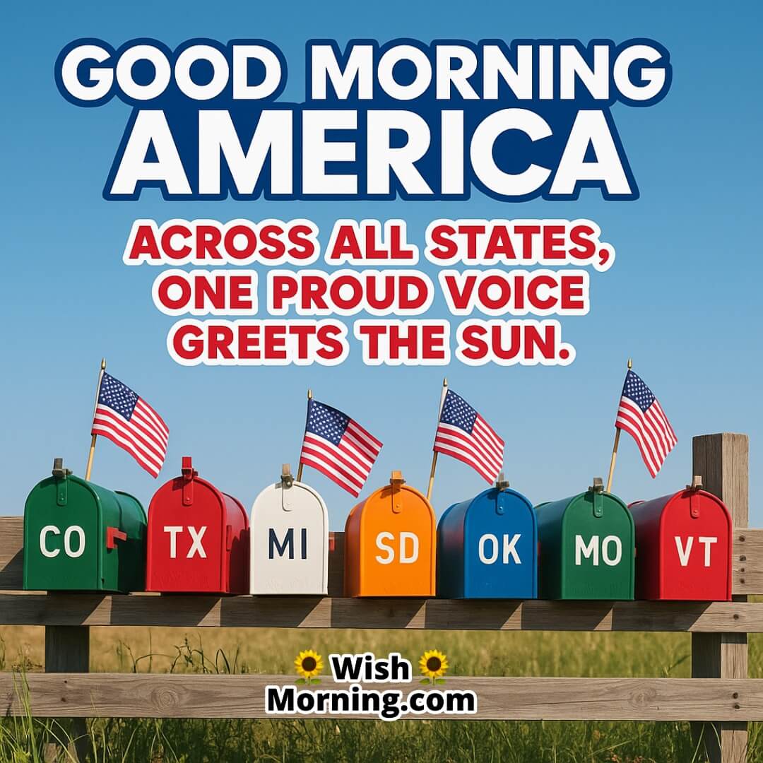 State To State Good Morning America image featuring patriotic mailboxes, symbolizing diversity and shared morning pride.