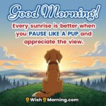 Good Morning Dog Message featuring a dog watching sunrise from a hill, symbolizing peace and gratitude.