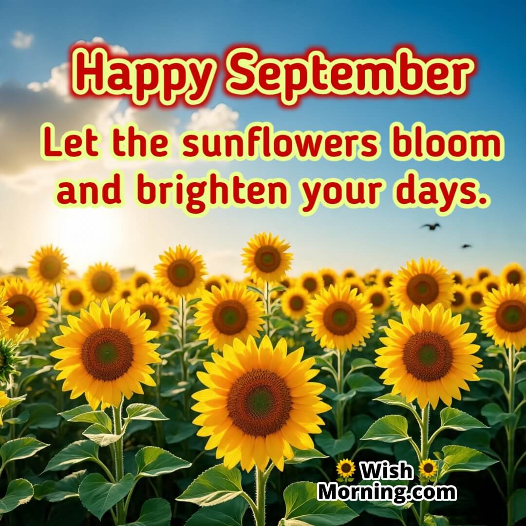 Happy September Sunflower Wish For Bright Days