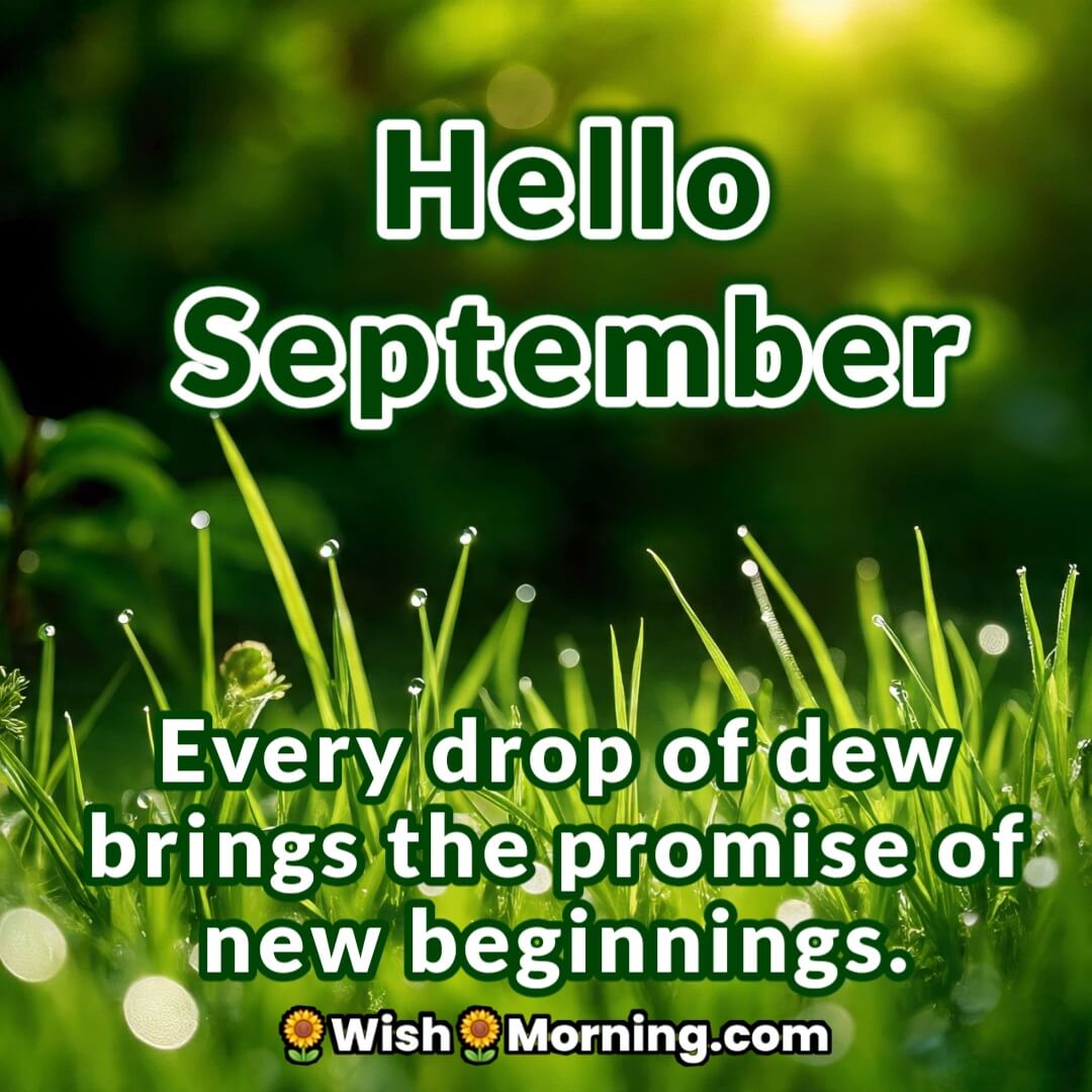 Hello September Morning Dew Quote Image