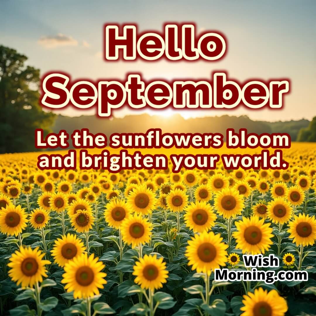 Hello September Sunflower Wish Image