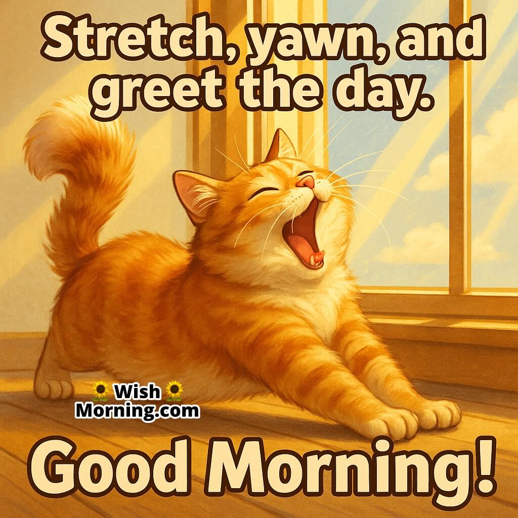 Good Morning image featuring an orange cat stretching by a sunny window, symbolizing freshness and joyful energy