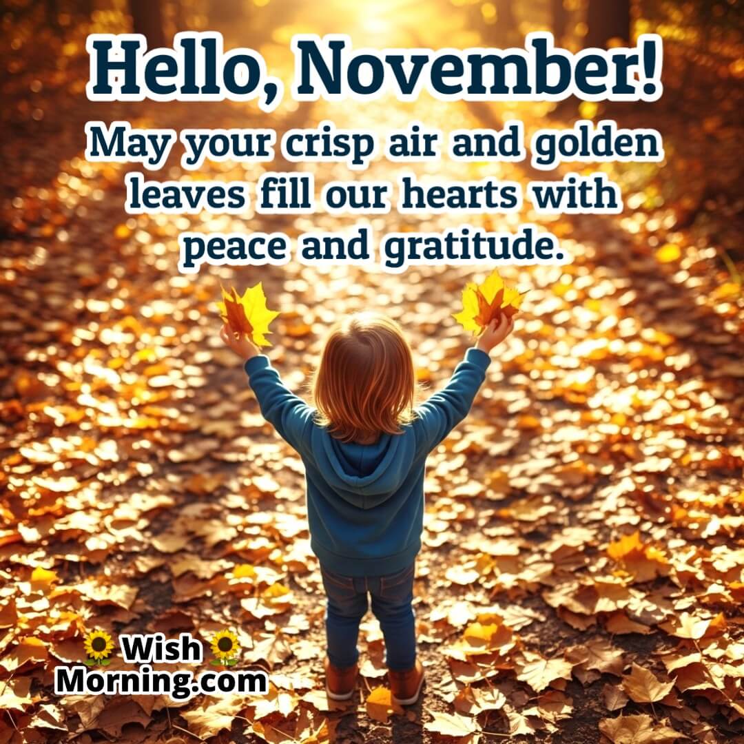 Hello November image featuring golden forest leaves and sunlight, symbolizing peace, change, and heartfelt gratitude.