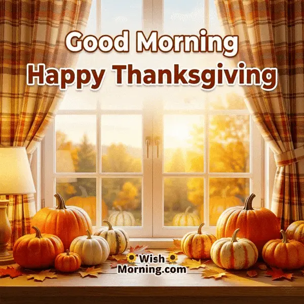Animated Good Morning Happy Thanksgiving GIF with sunlight through a window and pumpkins on sill, symbolizing peace and comfort.