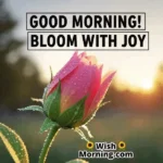 Animated Beautiful Good Morning GIF showing a flower blooming under sunrise with text “Good Morning! Bloom with Joy,” symbolizing growth and happiness.