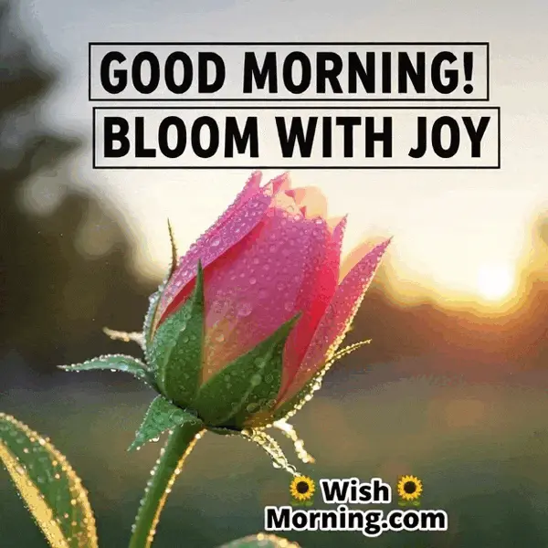 Animated Beautiful Good Morning GIF showing a flower blooming under sunrise with text “Good Morning! Bloom with Joy,” symbolizing growth and happiness.