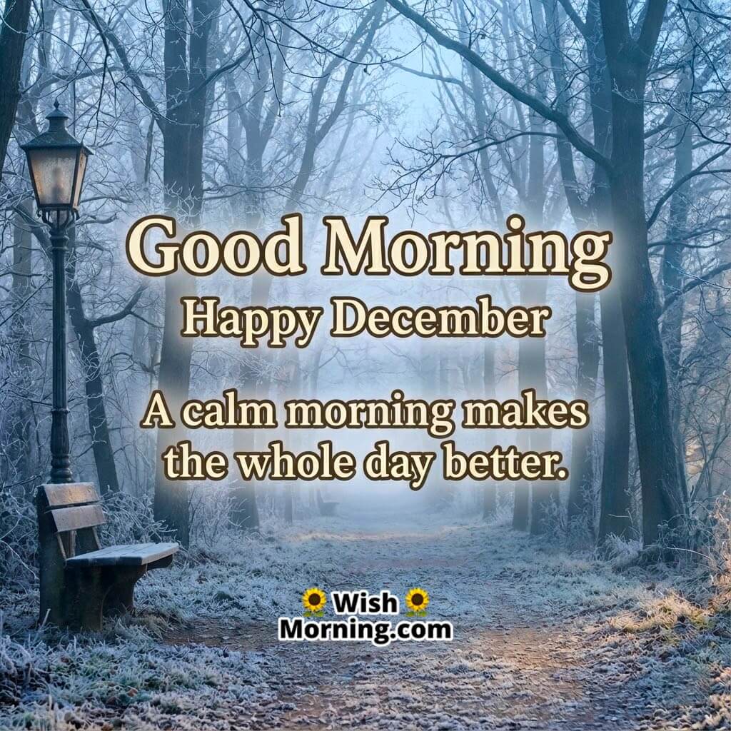Good Morning Happy December Calm Day Image featuring a frosty forest path with soft morning mist symbolizing clarity and a peaceful beginning.