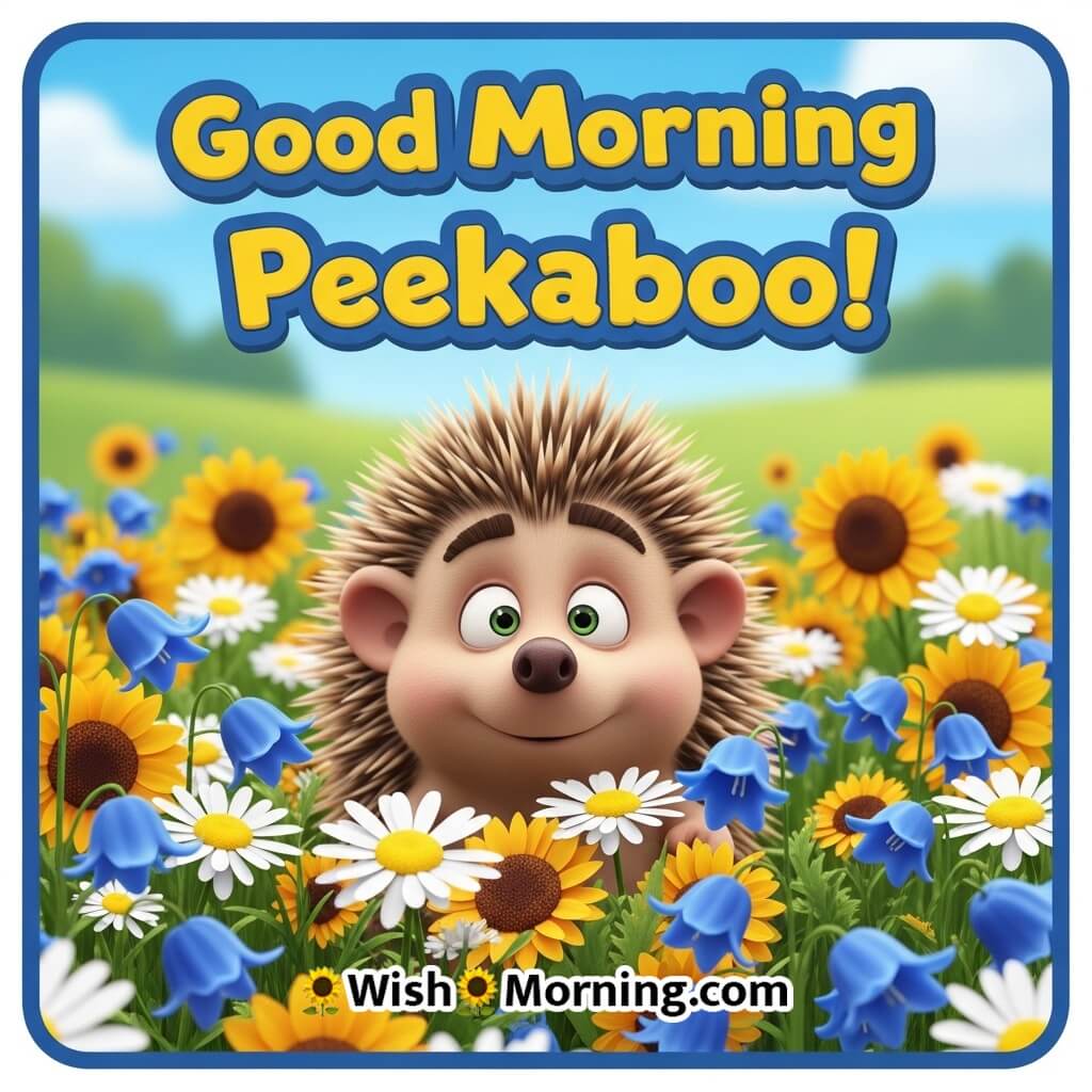 Good Morning Peekaboo featuring a hedgehog peeking out of flowers with a funny look, symbolizing curiosity and play.