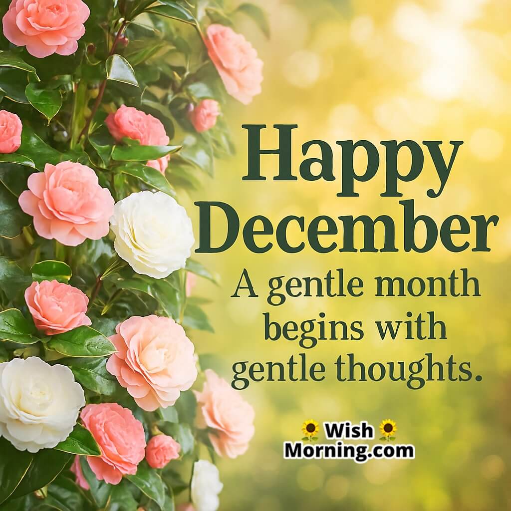 Happy December Camellia Grace Image featuring blooming camellias in soft winter light symbolizing gentle thoughts and a calm start to the month.