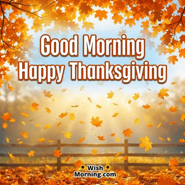 Animated Good Morning Happy Thanksgiving GIF showing softly falling maple leaves in golden light, symbolizing beauty and peace.