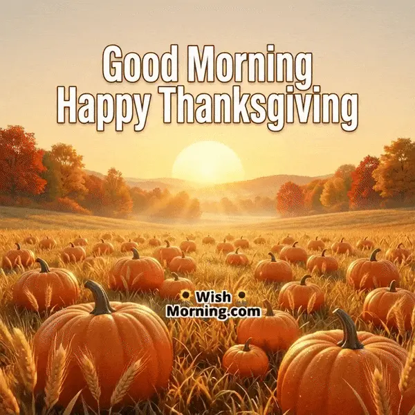 Animated Good Morning Happy Thanksgiving GIF showing sunrise brightening over pumpkins and wheat with floating leaves, symbolizing warmth and festive positivity.