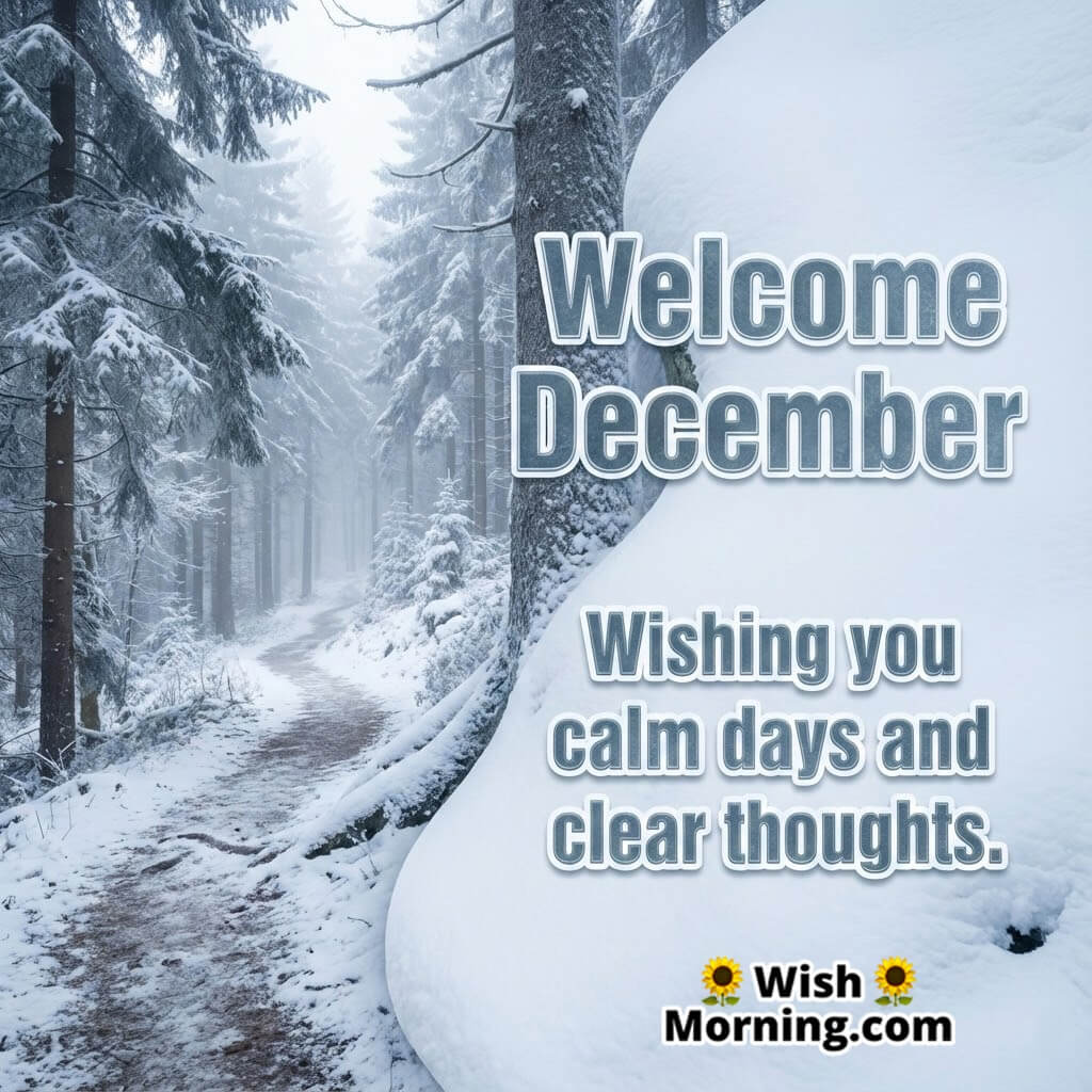 Welcome December Calm Thoughts Image featuring a frosty forest path with morning mist symbolizing clarity, peace, and slow, steady days ahead.