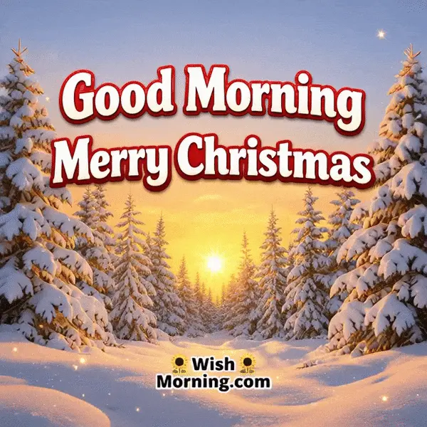 Animated Good Morning Merry Christmas GIF showing sunrise behind snowy trees with soft sparkles, symbolizing festive warmth and a joyful morning.