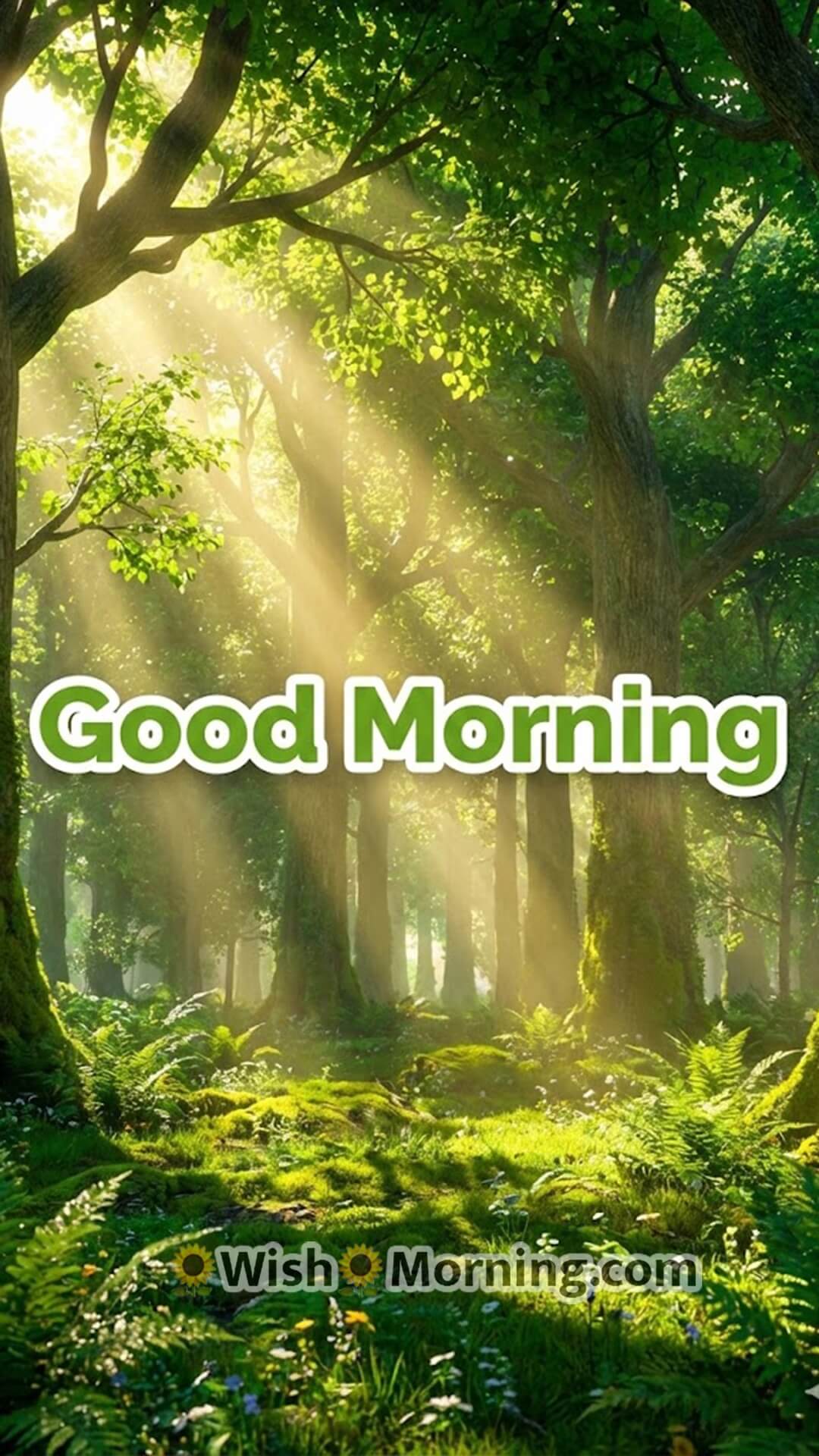 Good Morning sunrise wallpaper featuring golden 3D rays shining through lush green forest trees.