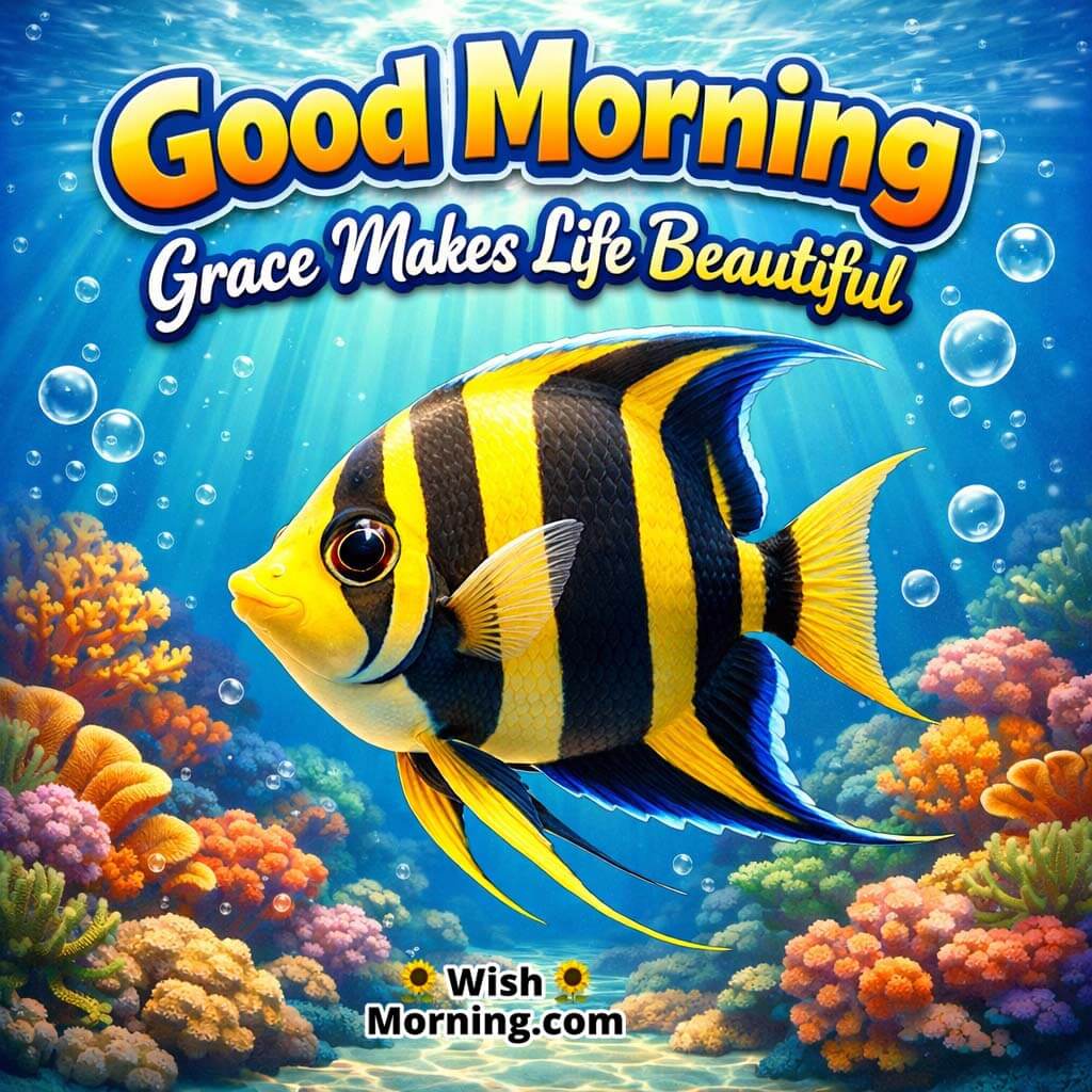 Angelfish Clear Reef Good Morning Picture featuring an angelfish gliding in clear reef water with gentle light beams and calm bubbles, symbolizing grace and peaceful beginnings.