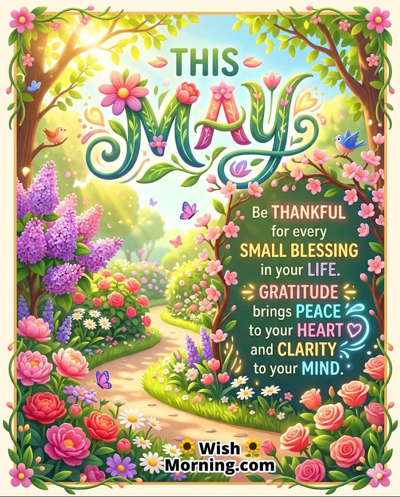 May Gratitude and Peace Message Image featuring soft sunlight, flowers, and calm environment symbolizing thankfulness, mental clarity, and inner peace.