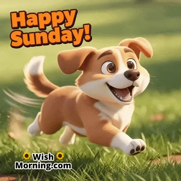 Happy Sunday animated GIF featuring a joyful dog wagging its tail playfully, symbolizing energy and weekend fun.