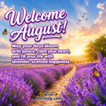 Welcome August Lavender Field Morning Image featuring blooming lavender fields, a glowing sunrise, butterflies, and a peaceful country path, symbolizing calm, peace, and joyful new beginnings.