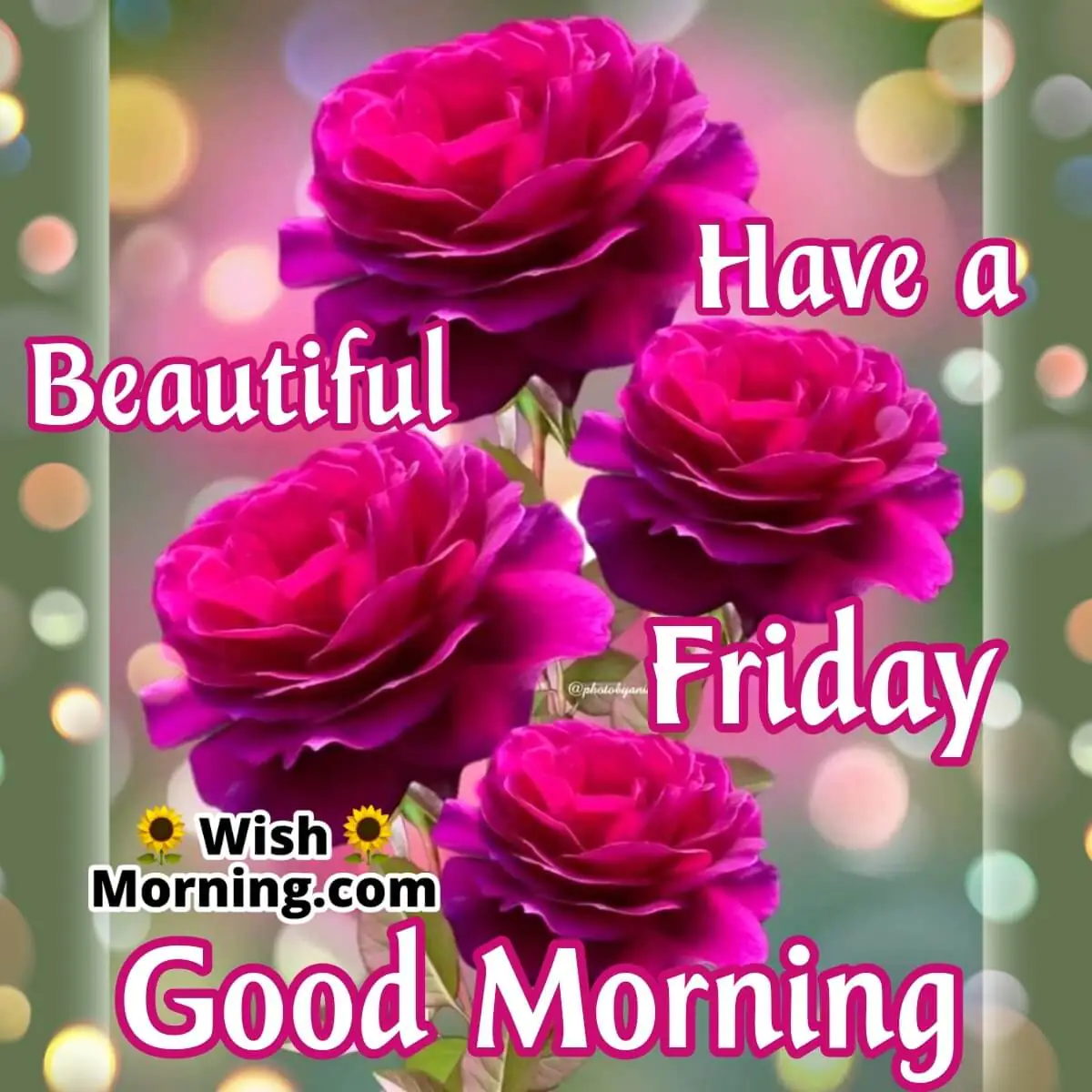 Beautiful Friday Morning Image